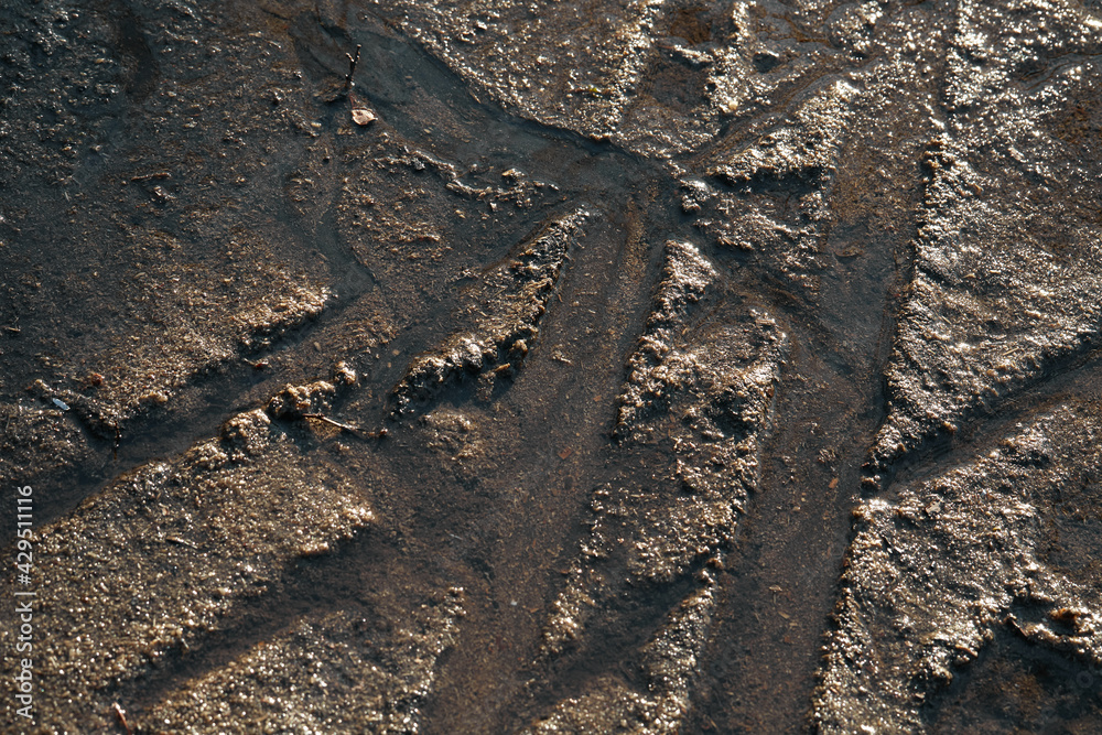 Spring tracks of wet mud. The texture of a dirty bad road with ruts Spring tracks of wet mud. The texture of a dirty bad road with ruts