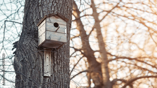 A birdhouse on a tree in spring. Bird feeder in the spring park. Shelter for bird breeding
