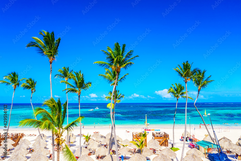 Beach vacation. Aerial drone view of tropical white sandy Bavaro beach in Punta  Cana, Dominican Republic. Amazing landscape with palms, umbrellas and  turquoise water of atlantic ocean Photos | Adobe Stock