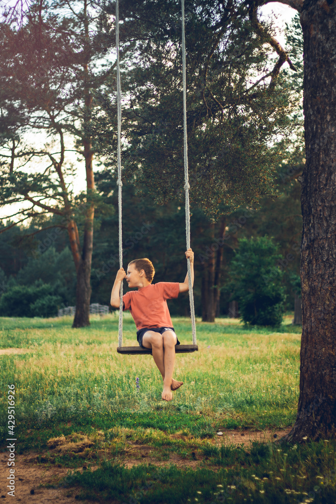 Barefoot boy 7-10 sitting on rope swing in countryside among pines in rays of setting sun. Vertical