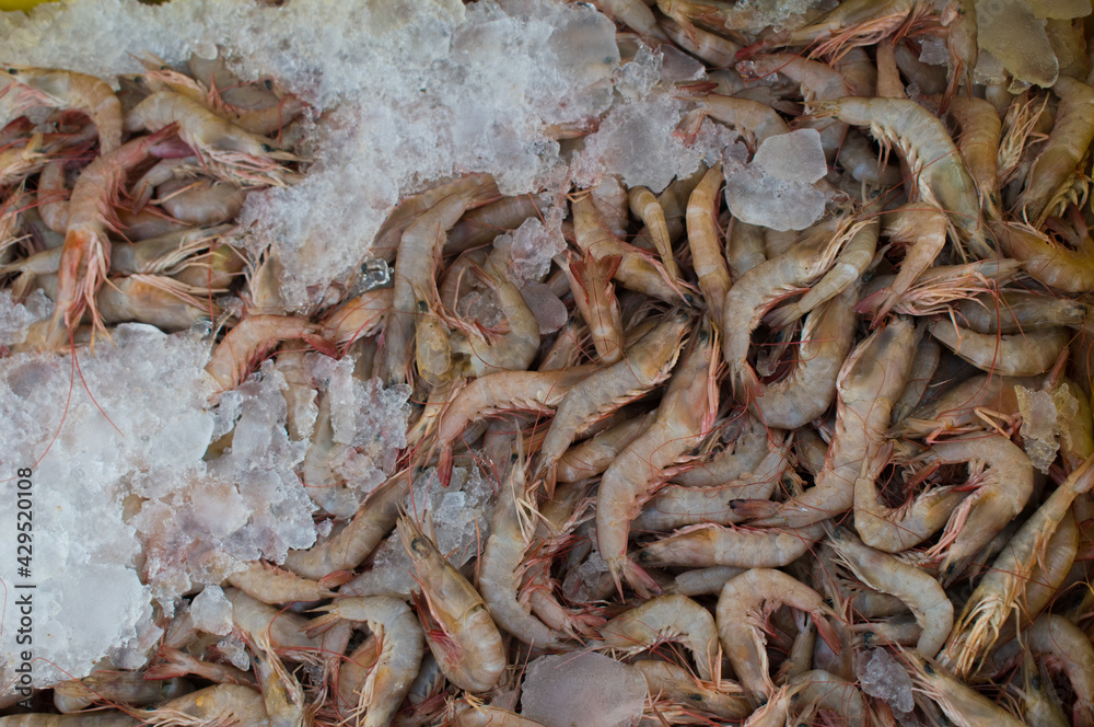 Collection of caridean shrimp kept in ice for sale in the market. Collection of caridean shrimp kept in ice for sale in the market.