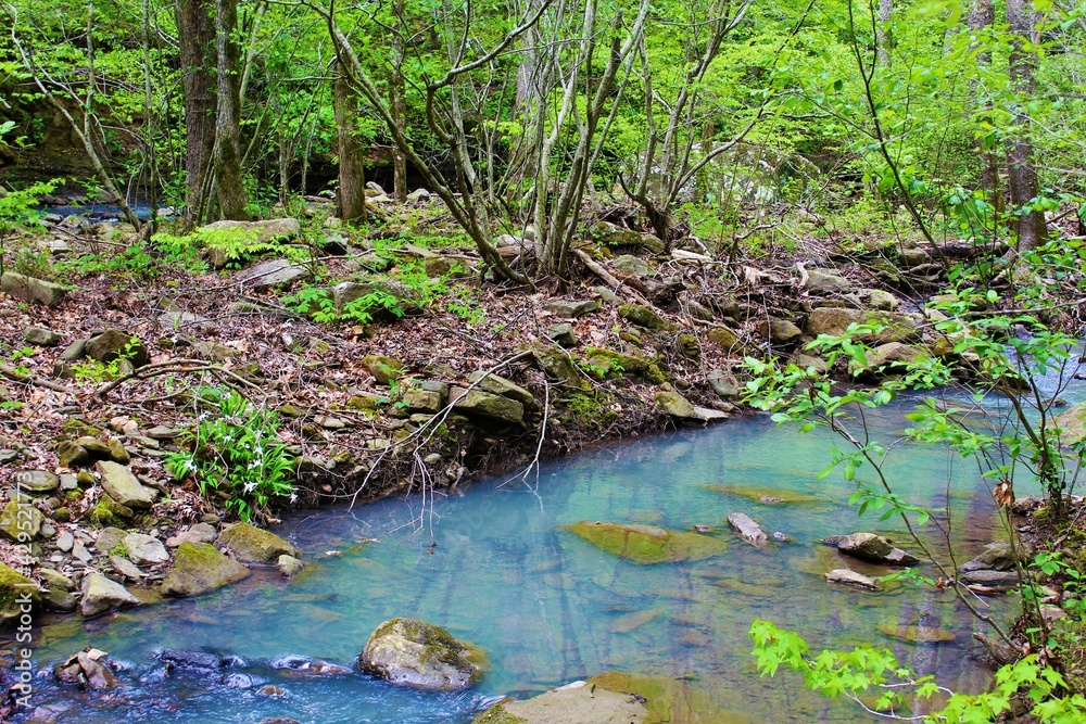 Beautiful mountain stream in the Ozarks. Beautiful mountain stream in the Ozarks.