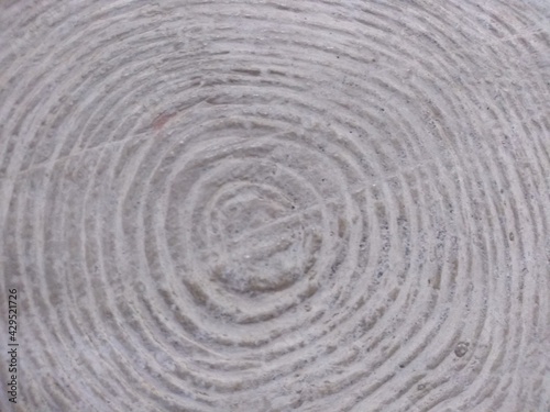 Nodule cut of gray tree circle textured