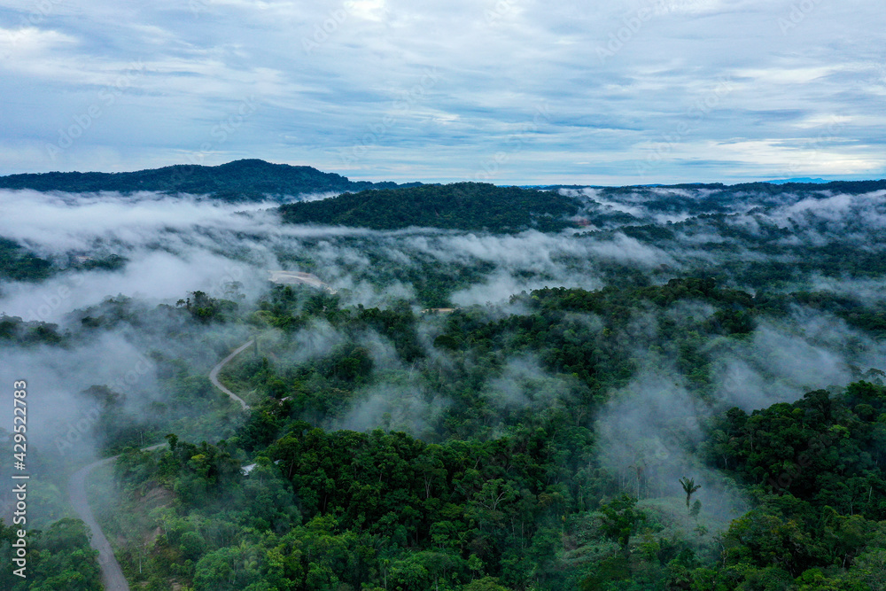 Aerial view of a tropical forest, part of the Amazon rainforest covered in fog with a beautiful blue skyline