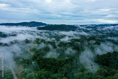 Fototapeta Naklejka Na Ścianę i Meble -  Aerial view of a tropical forest, part of the Amazon rainforest covered in fog with a beautiful blue skyline