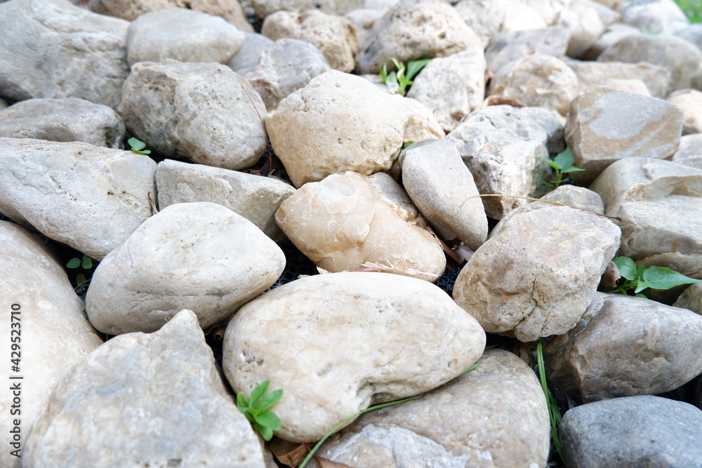 closeup big stone color gray scattered in the garden closeup big stone color gray scattered in the garden