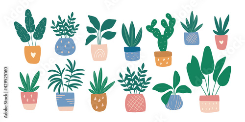 Hand-drawn house plant in colorful pot. Trendy cozy home garden decor. Urban jungle vector illustration set. Succulent, ficus, banana tree, cactus. Modern potted flowers in Scandinavian style. 