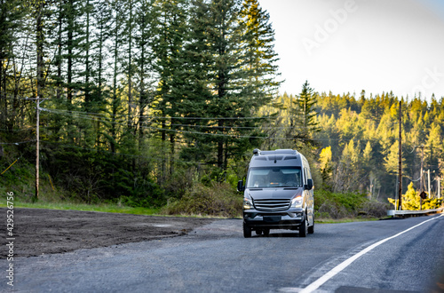 Compact commercial gray mini van made a stop on the road shoulder with evergreen trees forest