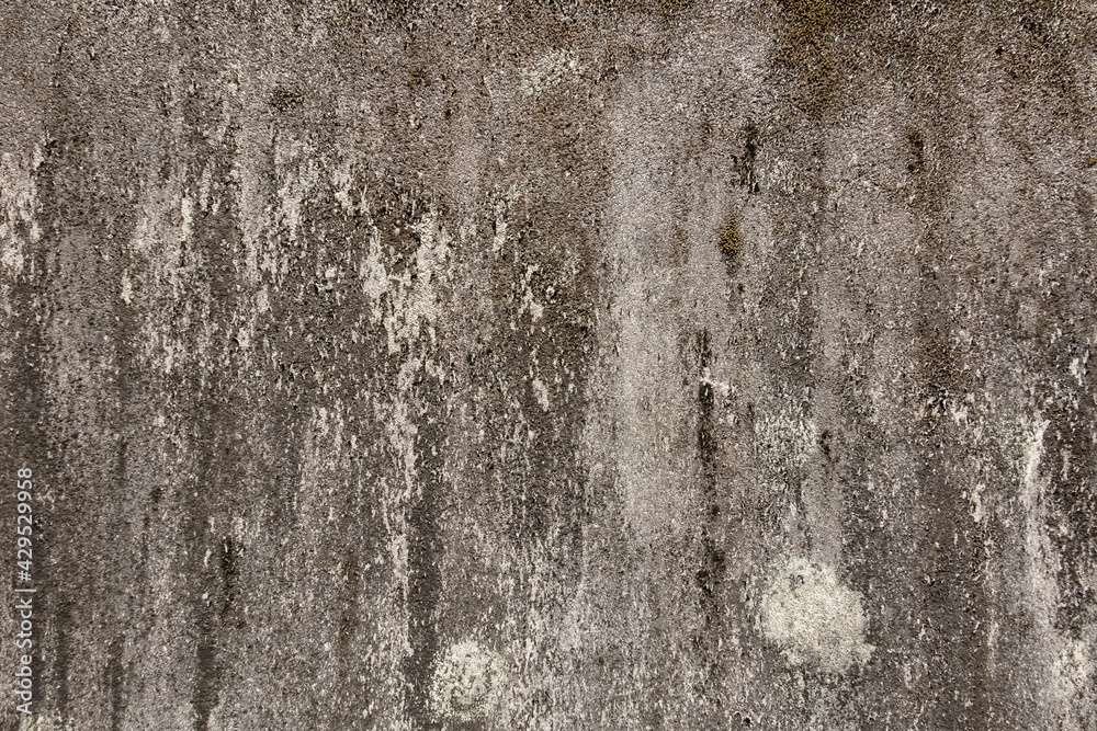 old mildewed cement wall old mildewed cement wall