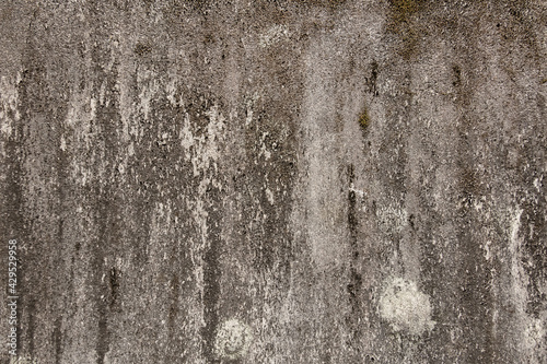 old mildewed cement wall