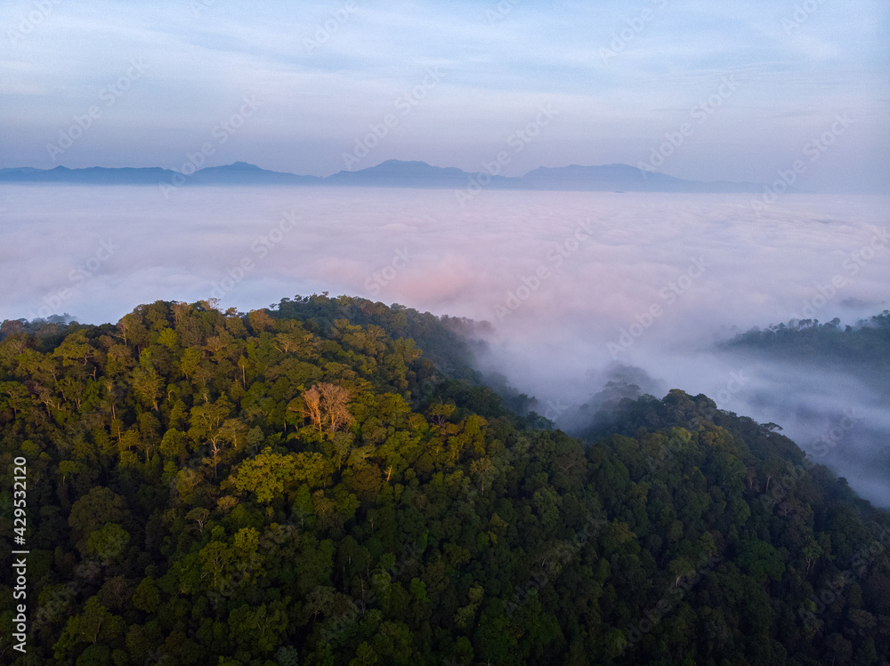 Aerial Shot Landscape Forest with Fog bank .Sea of mist with mountain morning time. tropical rain forest National Park jungle Southeast Asia. Thailand