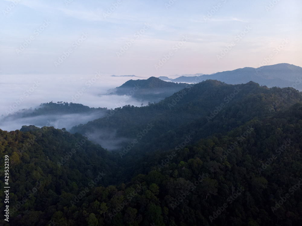 Aerial Shot Landscape Forest with Fog bank .Sea of mist with mountain morning time. tropical rain forest National Park jungle Southeast Asia. Thailand
