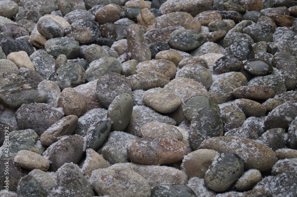 large oval stones of gray orange and brown under the first white snow of autumn large oval stones of gray orange and brown under the first white snow of autumn