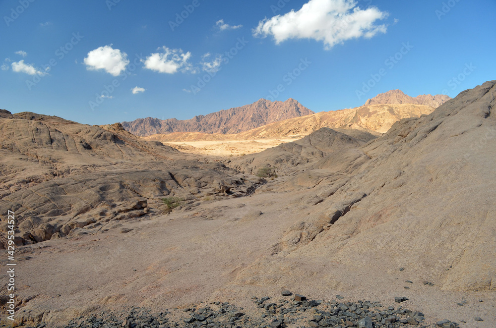 Desert of Sinai Peninsula, Egypt. Near Sharm El Sheikh