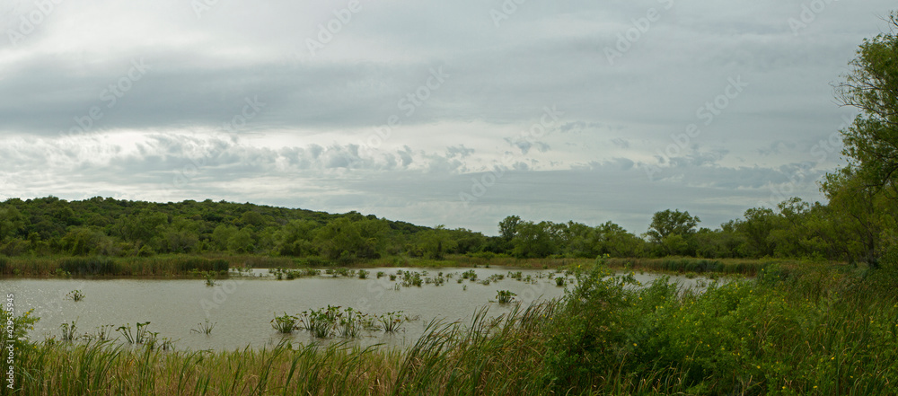 Environment preservation. Panorama view of the lake, reeds, and green forest in Pre Delta national Park in Entre Ríos, Argentina.