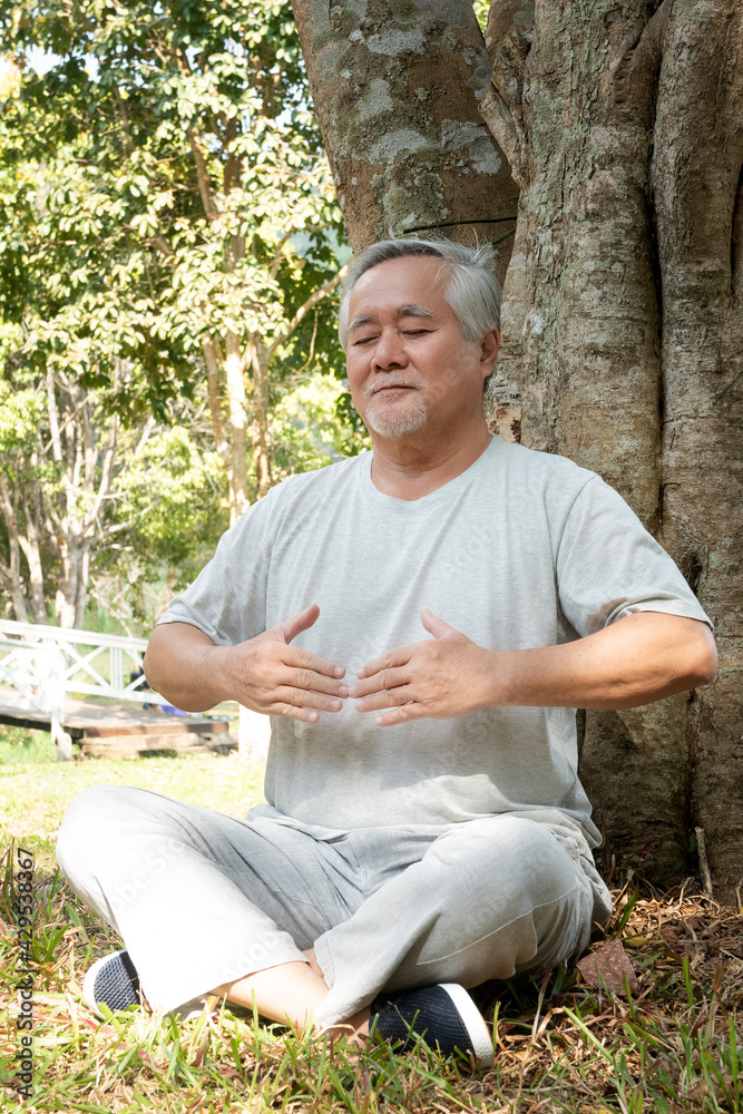 Obraz premium cheerful gray-haired bearded gentleman is sitting meditation under a tree outdoors in the park