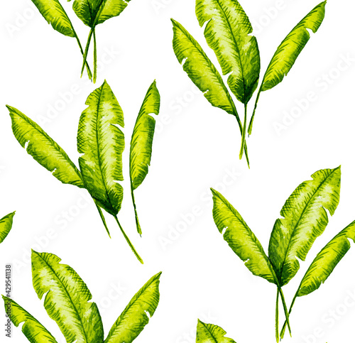 Watercolor set of banana leaf isolated on white background. Illustration for design kitchen, market, textiles, decorations, cards.