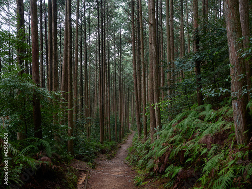 熊野古道