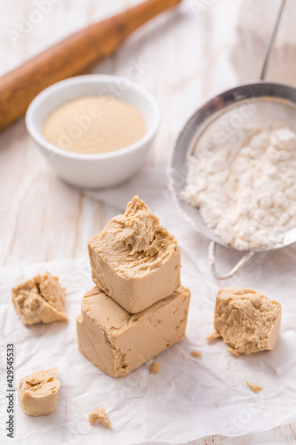 Fresh and dried yeast with baking ingredients on white background