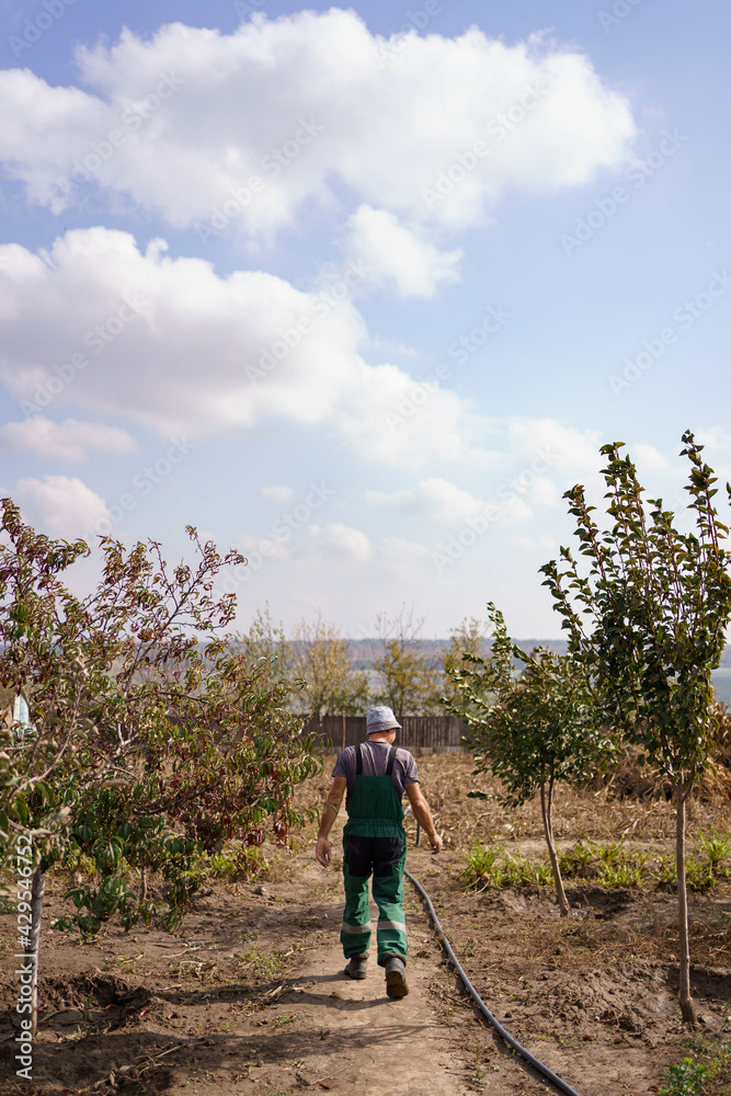 Back view of a farmer in motion walking through his garden with trees with sky and clouds on horizon