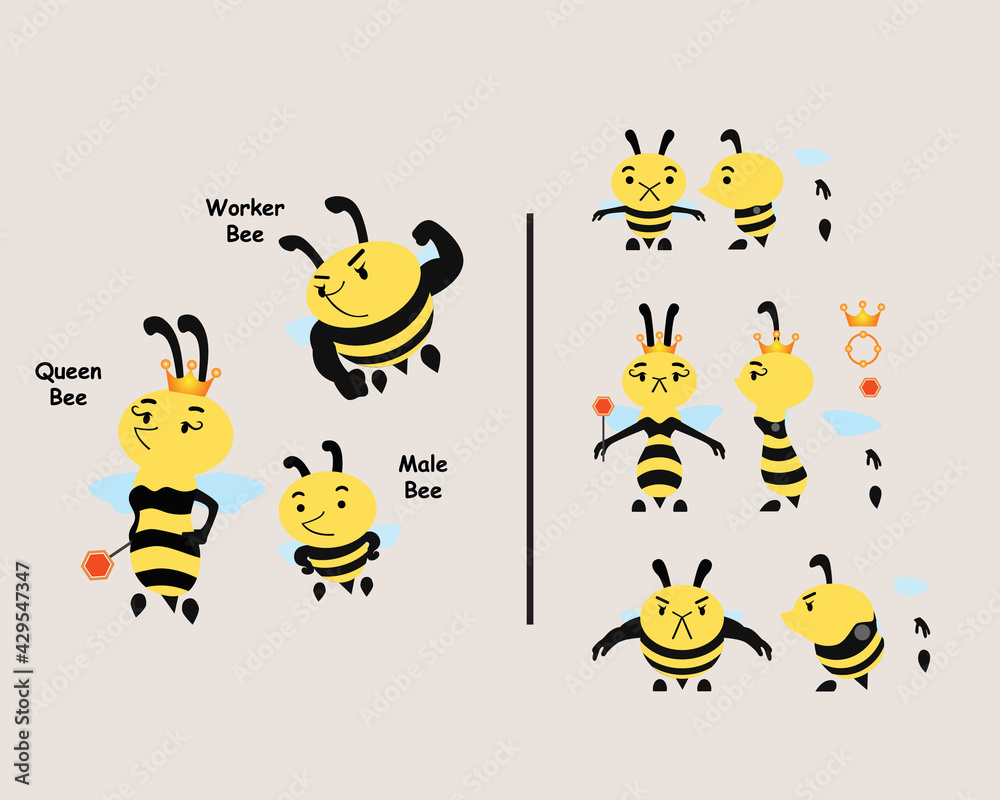 Types of Bee Stages Queen Bee Worker Bee Male Bee Stock Vector