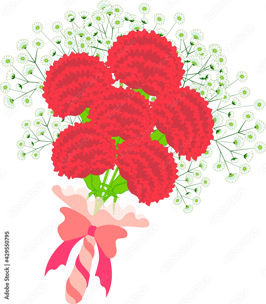 カーネーションとカスミ草のシンプルな花束 イラスト Stock 벡터 Adobe Stock