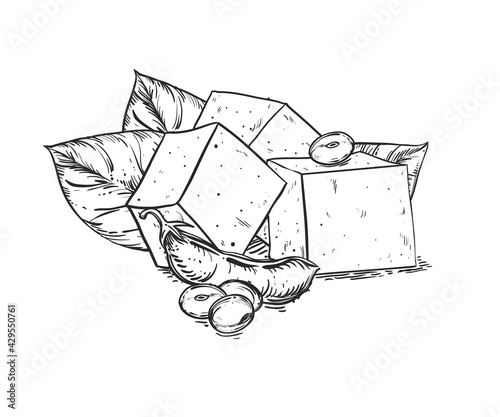 Hand drawn sketch black and white soybean, soy plant, leaf, tofu. Vector illustration. Elements in graphic style label, card, sticker, menu, package. Engraved style illustration.