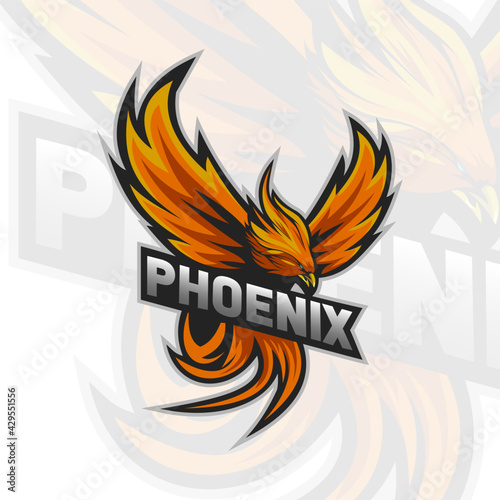 Phoenix Vector Illustration for an Esports Team or Group