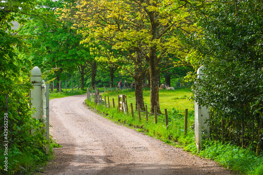 Winding dirt road and a gate in an idyllic summer landscape