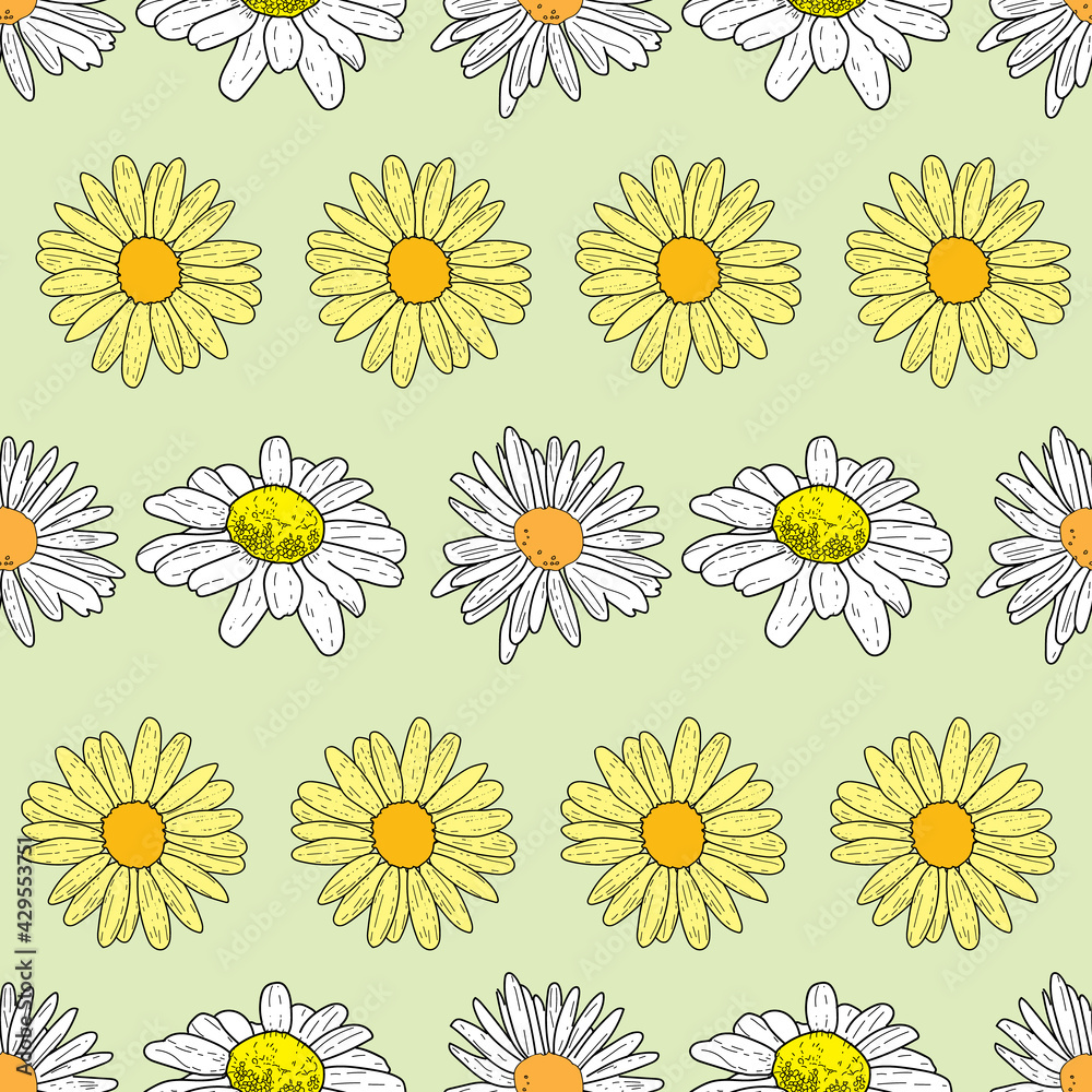 Vector pastel green background daisy flowers and wild flowers. Seamless pattern background