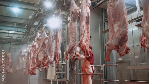 Professional butchers at work on a meat processing plant, male butchers trim beefs carcass, meat production and food industry, the process of harvesting meat, workers uses equipment for slicing. photo