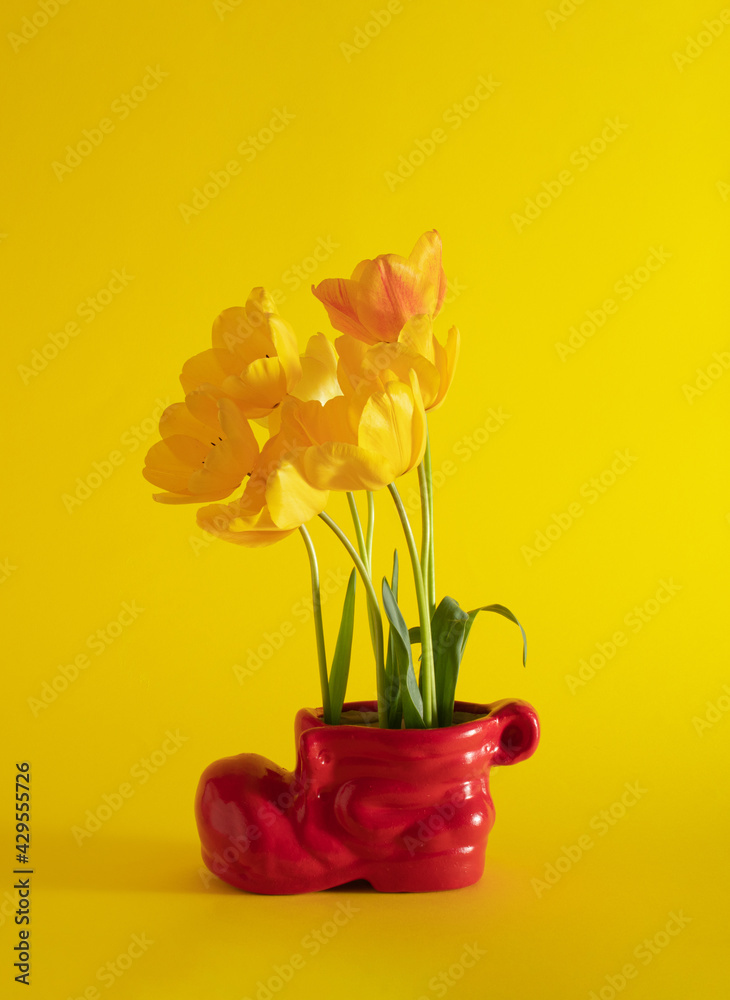 fresh yellow tulips in a gardening red shoes  on  the yellow sunny summer background. minimal creative decoration idea