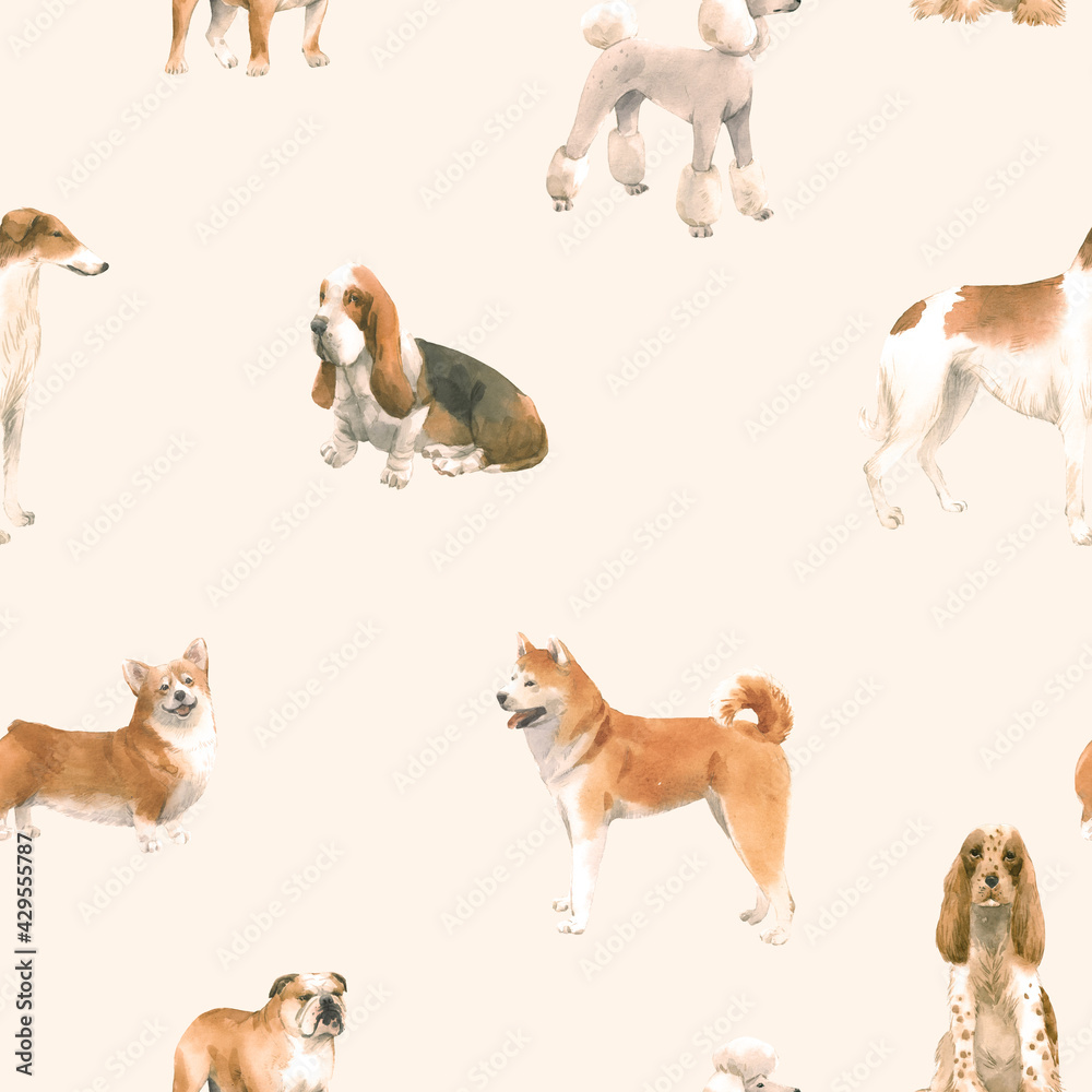 Naklejka premium Beautiful seamless pattern with cute watercolor hand drawn dog breeds Cocker spaniel Greyhound Basset hound Poodle Bulldog and Welsh corgi pembroke . Stock illustration.