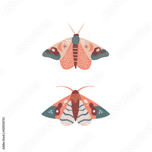 Whimsical moon moth vector illustration isolated on white. Magical luna butterfly decorative graphic clip art. Spiritual Boho folk art vibes print design
