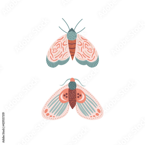 Whimsical moon moth vector illustration isolated on white. Magical luna butterfly decorative graphic clip art. Spiritual Boho folk art vibes print design
