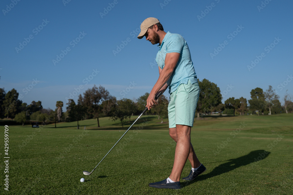 Fototapeta premium Golf player playing golf on sunny day. Professional golfer taking shot on golf course.