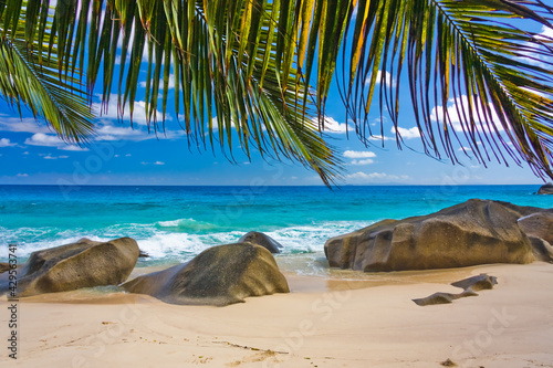 Palmes de cocotiers et rochers granitiques sur plage paradisiaque des Seychelles 