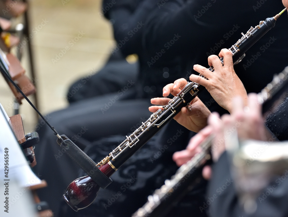 English Horn Vs Oboe