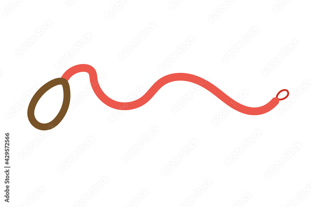 Leash for walking a dog or cat. Accessories for pets. Shop concept. Leash for walking a dog or cat. Accessories for pets. Shop concept.