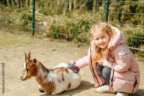 Little blonde girl in a pink jacket caresses a little goat. Child plays with a goat. Animal therapy for disabled children. Reduce stress with the help of animals. Children in the zoo 