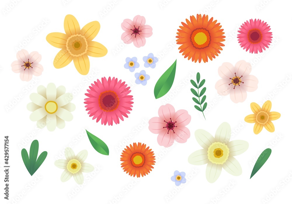 Flowers collection. Vector illustration in flat style, template for design