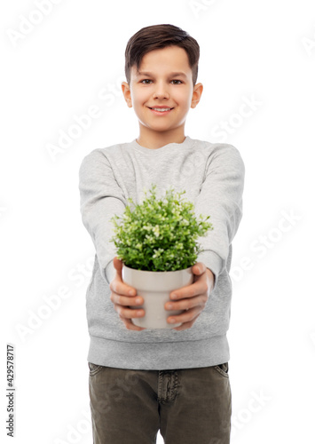 environment, nature and people concept - happy smiling boy holding flower in pot over white background