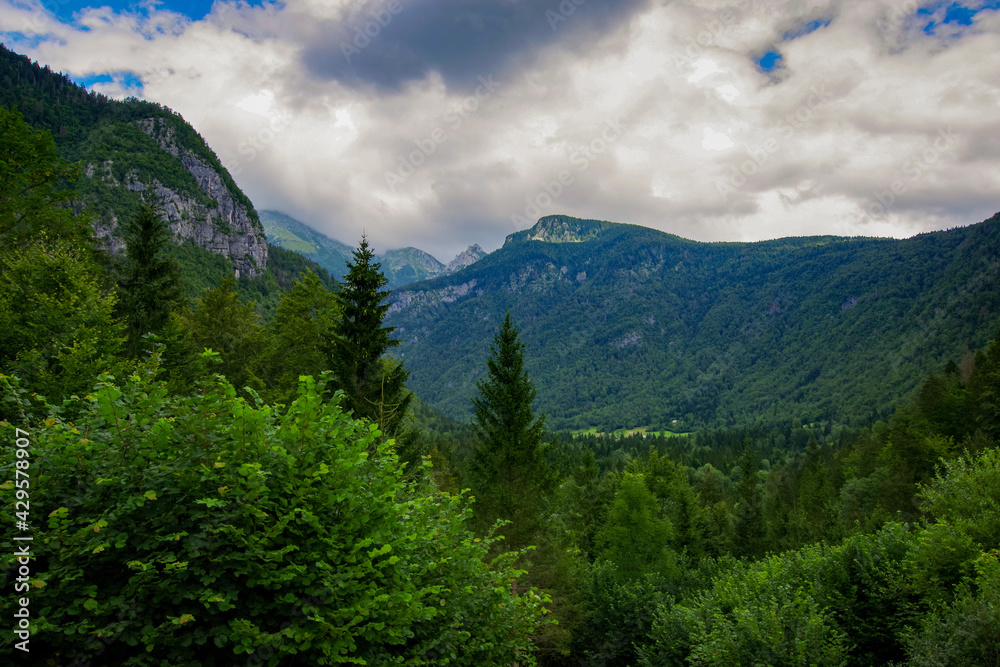 panaromic view in the slovenian alps