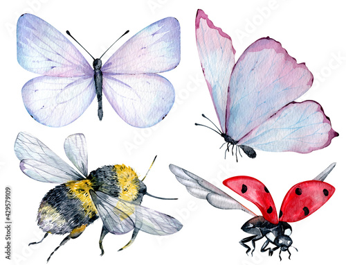 Watercolor insects blue and pink butterflies, bumble bee and flying ladybug isolated on the white background.
