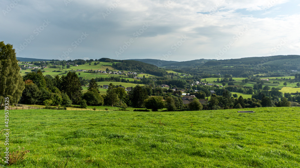 Fresh grass on a meadow, next to a forest, in the Belgian Ardennes