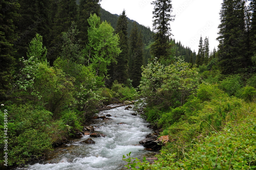 The Turgen River, which flows along the territory in a mountainous area near Almaty The Turgen River, which flows along the territory in a mountainous area near Almaty
