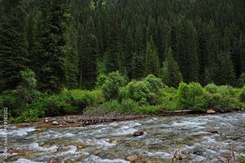 The Turgen River, which flows along the territory in a mountainous area near Almaty