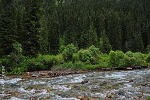 The Turgen River, which flows along the territory in a mountainous area near Almaty photo