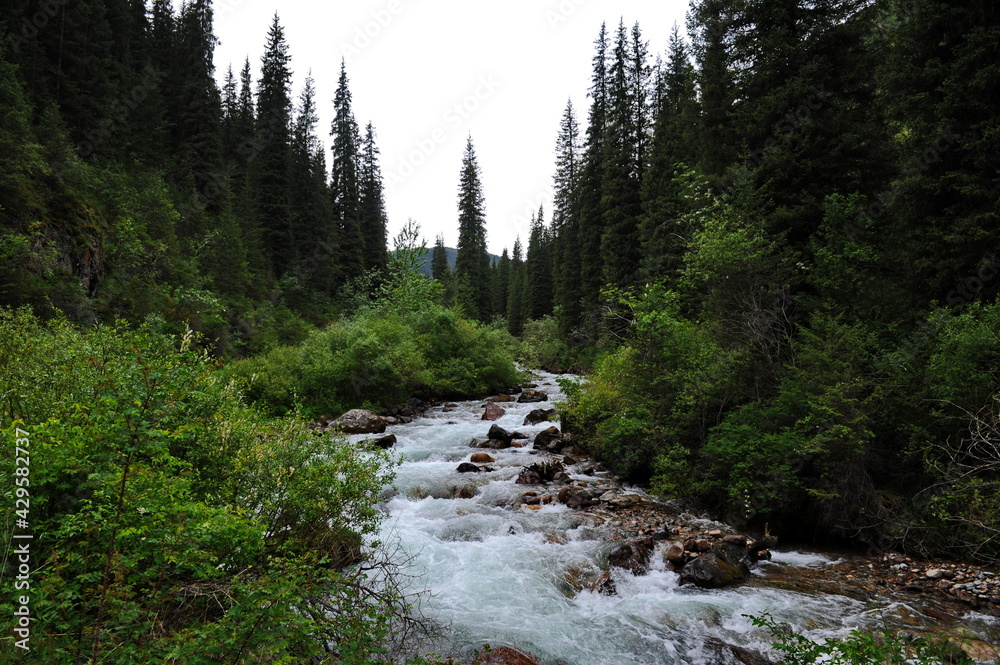 The Turgen River, which flows along the territory in a mountainous area near Almaty