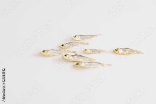 dried small fish isolated
